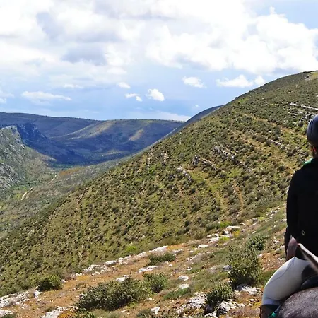 Nyaraló De Aire Country Mira (Leiria)