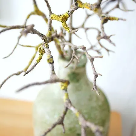 De Aire Country Nyaraló