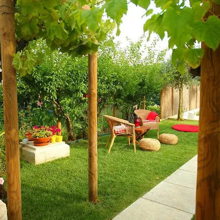 De Aire Country Mira (Leiria)