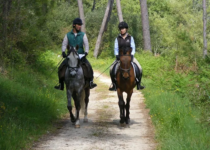 De Aire Country * Mira (Leiria)