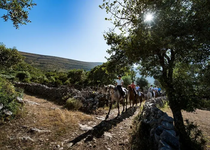 De Aire Country 別荘